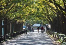 NHỮNG NGUYÊN TẮC CỦA NGƯỜI NHẬT CHÚNG TA NÊN HỌC TẬP