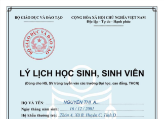 CÁCH VIẾT SƠ YẾU LÝ LỊCH HỌC SINH SINH VIÊN NĂM 2022